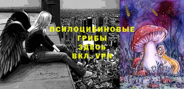 тгк Майский