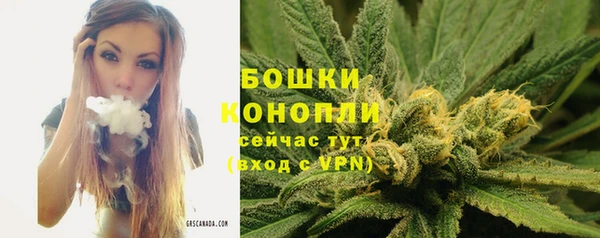 тгк Майский